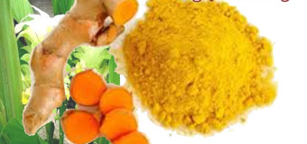 Tinh nghệ nguyên chất Thu Hương-Nguồn dược liệu quý từ quê hương Hải Thượng Lãn Ông