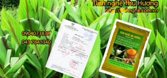 Tinh bột nghệ Thu Hương nguyên chất đảm bảo 100% từ thiên nhiên