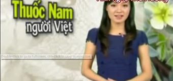 Tinh bột nghệ mua ở đâu | Công dụng của cây nghệ vàng