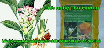 Bột nghệ vàng và kinh nghiệm chữa bệnh bằng tinh bột nghệ