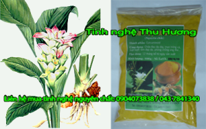 Curcumin, bá»‡nh tiá»ƒu Ä‘Æ°á»ng, nghá»‡ vÃ ng, tiá»ƒu Ä‘Æ°á»ng, benh tieu duong