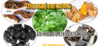 Nghệ vàng và những bài thuốc quý từ nghệ vàng