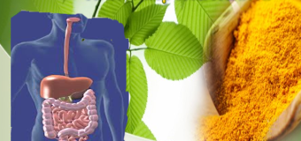 Tinh bột nghệ vàng chữa bệnh đường tiêu hóa