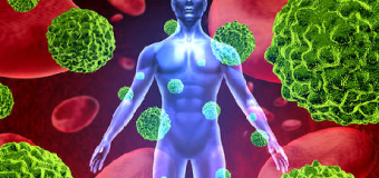 Nghệ vàng (curcumin) và những công dụng của tinh bột nghệ với sức khỏe