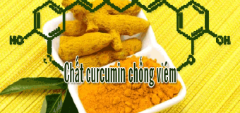Tinh bột nghệ: thuốc kháng sinh chống viêm thiên nhiên