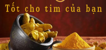 Nghệ vàng (curcumin) ngăn ngừa bệnh tim mạch