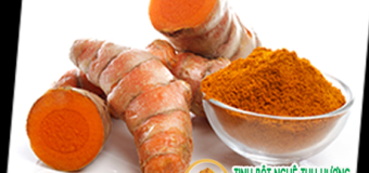 Nghệ vàng ngăn ngừa lão hóa, bảo vệ da khỏi tác hại của tia cực tím B (UVB)