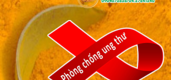 Nghệ vàng (curcumin) và tác nhân chống ung thư mạnh mẽ của tinh bột nghệ vàng