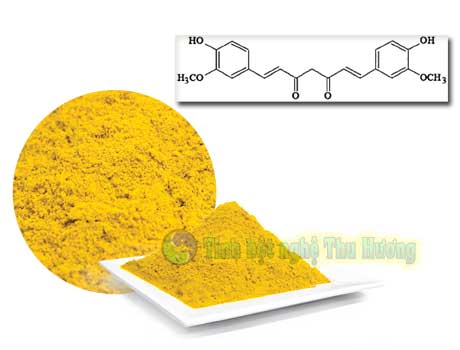 Curcumin, thần kinh, suy giảm thần kinh, thoái hóa thần kinh, protein, tế bào, tế bào thần kinh