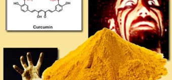 Curcumin và hội chứng Down: Curcumin và chứng Down [Phần 5]