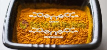 Curcumin và hội chứng Down: Longvida curcumin hấp thu và vượt rào tốt hơn [Phần 4]