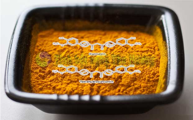 Curcumin, Longvida curcumin, tetrahydrocurcumin, hấp thu, máu, não, hội chứng down, down