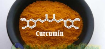 Curcumin và hội chứng Down: Nên hay không nên sử dụng curcumin [Phần 6]