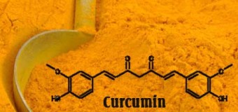 Curcumin và hội chứng Down: tác dụng sinh lý của tinh bột nghệ vàng [Phần 1]