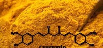 Curcumin và hội chứng Down: tính an toàn và khả năng hấp thu curcumin [Phần 3]