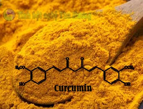 Curcumin, protein, Nghệ vàng, hội chứng Down, down, tinh bột nghệ,