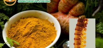 Nghệ và bệnh thoái hóa đĩa đệm cột sống