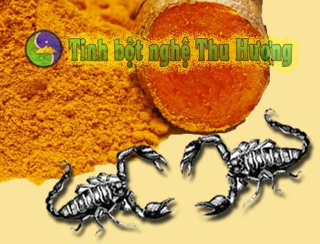 Sơ cứu, tinh bột nghệ, vết thương, nghệ vàng, bột nghệ, tinh bot nghe, bot nghe, nghe vang