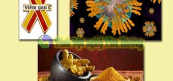 Tinh bột nghệ vàng với phòng chống và điều trị viêm gan C