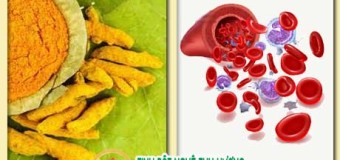 Nghệ vàng có phá hủy hồng cầu không?