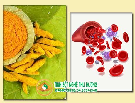 Nghệ vàng, hồng cầu, thoái hóa khớp, tinh bột nghệ, phá hủy hồng cầu, tinh bot nghe, nghe vang, bot nghe