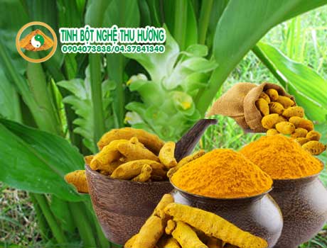 Nghệ vàng, dạ dày, gia vị, vết thương, tinh bột nghệ, bột nghệ, nghe vang, tinh bot nghe, bot nghe