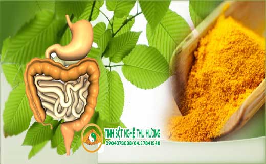 Ung thư, curcumin, đường tiêu hóa, tinh bột nghệ, Ung thư dạ dày, nghệ vàng,