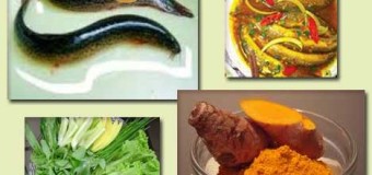 Cá chạch kho nghệ vàng món ngon có lợi cho sức khỏe của nam phụ lão ấu