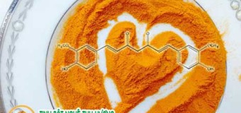 Tác dụng của nghệ vàng đối với sức khỏe đã được chứng minh- bệnh tim và ung thư [Phần 3]