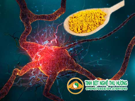 Tác dụng của nghệ vàng, chống ôxy hóa, gốc tự do, nghệ vàng, sức khỏe, curcumin, thần kinh, não bộ, tinh bột nghệ, tinh bot nghe, nghe vang, bột nghệ