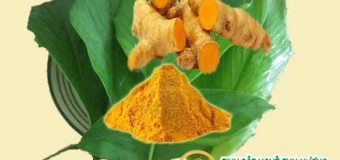 Tác dụng của nghệ vàng đối với sức khỏe đã được chứng minh: chống viêm [Phần 1]