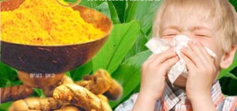 Nghệ vàng- cách sử dụng và tầm quan trọng của tinh bột nghệ vàng