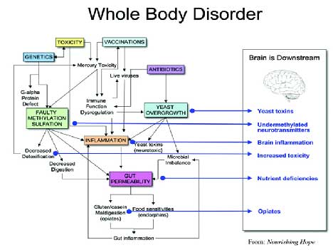 Chế độ ăn, bệnh tự kỷ, tự kỷ, trẻ em bị tự kỷ, trẻ em, che do an, benh tu ky, tu ky