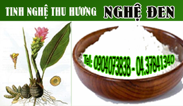 Nghệ đen, bài thuốc, Nga truật, kinh nguyệt, tinh bột nghệ, tinh bột nghệ đen, bột nghệ, bột nghệ đen, nghe den, tinh bot nghe, bot nghe den