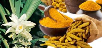 Tinh bột nghệ “thần dược” phương Đông được y học phương Tây công nhận [Phần 1]