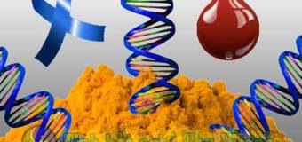 Curcumin loại mới giúp gia tăng khả năng chống viêm toàn thân