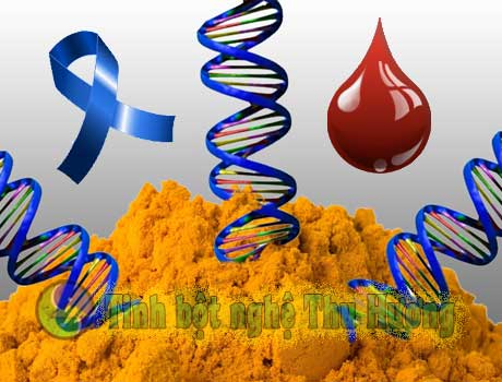 Tinh bột nghệ, curcumin, tiểu đường, carry, bệnh tiểu đường, gia vị, nghệ vàng, ung thư, tinh bot nghe, bot nghe, nghe vang, tieu duong, ung thu