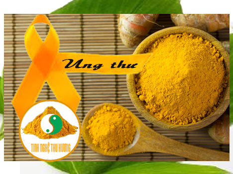 Nghệ vàng, ung thư, tế bào, Ar-turmerone, tế bào ung thư, tinh bột nghệ, bột nghệ, tinh bot nghe, ung thu, nghe vang, bot nghe