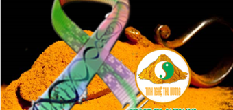 Nghệ vàng ngăn ngừa ung thư qua những nghiên cứu mới được công bố [Phần 2]