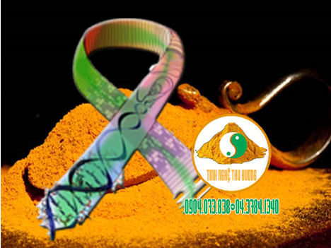 Nghệ vàng, ung thư, DNA, BaP, tinh bột nghệ, bột nghệ, tinh bot nghe, bot nghe, nghe vang, ung thu