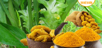 Tinh bột nghệ và công dụng của tinh bột nghệ vàng