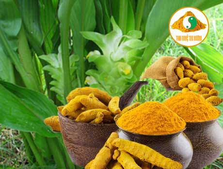 Tinh bột nghệ, công dụng của tinh bột nghệ, bột nghệ, nghệ vàng, curcumin, sức khỏe, tinh bot nghe, cong dung cua nghe, công dụng của nghệ, bot nghe, nghe vang
