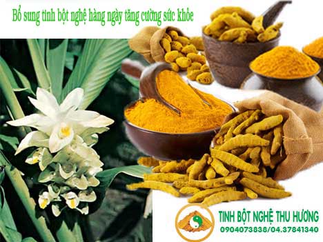 Nghệ vàng, Ấn Độ, sức khỏe, thảo dược, thực vật, thuốc, tinh bột nghệ, tinh bot nghe, nghe vang, bột nghệ, bot nghe