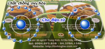 Chống oxy hóa mạnh mẽ, nghệ vàng giúp ngăn ngừa nhiều loại bệnh