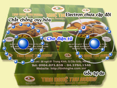 Chống oxy hóa, nghệ vàng, tinh bột nghệ, bệnh gan, bệnh tiểu đường, tiểu đường, lipid, peroxy, nghe vang, chong oxy hoa, benh tieu duong, tieu duong, tinh bot nghe