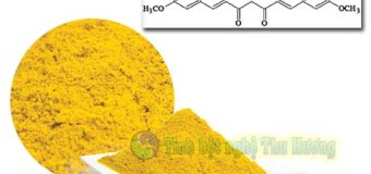 Chế độ ăn uống nhiều nghệ vàng có thể giúp ngăn chặn ký ức xấu