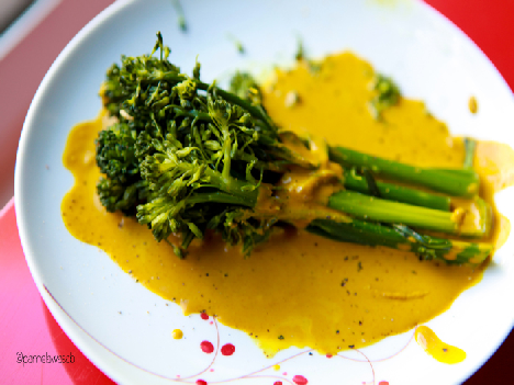 Nấu ăn, nghệ vàng, sức khỏe, gia vị, Chocolate nghệ, Chocolate, cacao, bột nghệ, tinh bột nghệ, tinh bot nghe, nghe vang, bot nghe, nau an