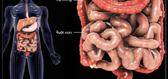 Viêm đại tràng và cách ngăn ngừa tái phát với nghệ vàng [Phần 1]