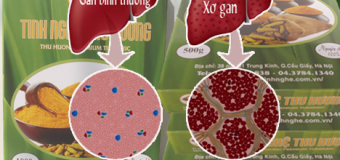 Xơ gan có thể ngăn ngừa được bệnh xơ gan với tinh bột nghệ vàng