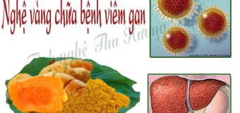 Bệnh gan và kết quả nghiên cứu tác dụng của nghệ vàng lên bệnh gan